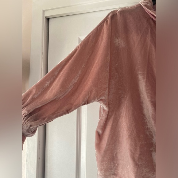 Anthropologie Pilcro Velvet Button Down Blouse - Picture 3 of 6